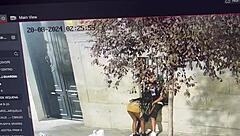 Hey, those public kisses on the dick right out in the open street sound super thrilling and bold