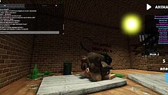 Having fun in an abandoned house with Medella