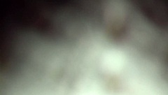 Brunette Wife Takes Creampie In Cheating Affair