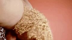 Sundaydogood614 Update 429 Video from August 26 2024