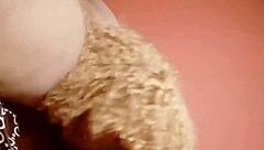 Sundaydogood614 Update 429 Video from August 26 2024