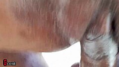 swollen pussy get pounded and drilled same time by bbc