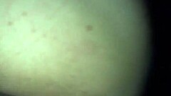 Oh, fuck my huge ass! Screamer begs for dick