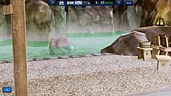 harem hotel episode 224 unfolds with exciting game twists