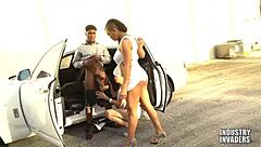 Why Settle for Ordinary When Luxury Blowjobs Await with Deepthroat Action?