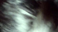 Bold Beauty Shows Off Interracial Blowjob Skills with Asian and Black Action