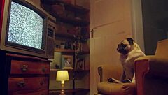 Brunette eden ivy with big tits gets rich throat fucked in lingerie during intense session