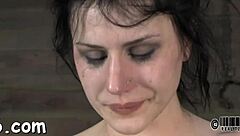 Sexy Beauty Endures Intense Whipping On Her Bound Ass