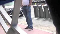 Helena Price Flashes Hairy Pussy In Public Upskirt Exhibition