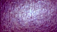 Whoa, check out that massive big ass booty