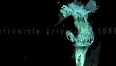 My Secret Life Unveiled in Vintage Hairy Retro Scenes