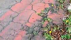 Levei preto favelado dotado 30cm da trilha pra me fuder!