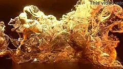 Curvy Latina Keysie Wood takes intense interracial anal with double penetration. She gets creampie in gaping ass after deepthroat blowjob.