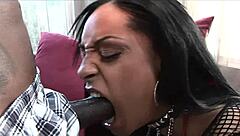 jazmine cashmere takes a huge black cock in her phat booty - ready for gaping anal?