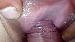 Beautiful big titty brunette girlfriend gets tits sucked