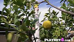 Sweet all-natural teen Hayli Sanders strips naked to reveal perfect tits and big booty in erotic poses.