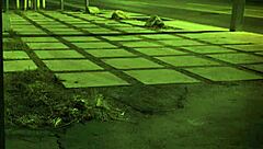 Trampling Domination With Hardcore Teen Bdsm Extreme Action?