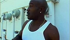 Big Black Racks Volume 3 Scene 5 With Hardcore Fucking And Cumshot