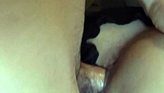 Young amateur gets throbbing creampie in shaved pussy