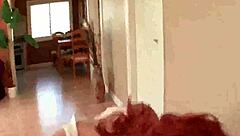 hot maid gets licked by her boss... oh, that feels so good, i mean, intense