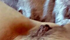 Bold Gretala's Curvy Pussy Dance