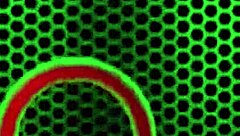 Sophie Dee dildo fucks Imani Rose tight ass hard