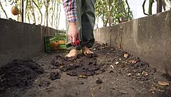 Squashing Tomatoes Barefoot In Dirty Ranch Asmr With Country Foot Fetish Teasing