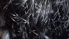 Masturbating Sensual BBC Lover Before Intense Anal Action with Amateur Cuckold Twist