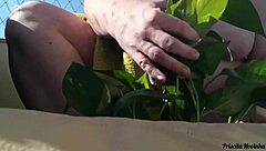 flashing big natural tits outdoors while watering plants naked for public exhibition