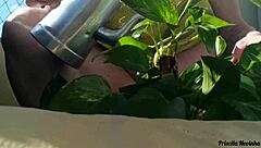 flashing big natural tits outdoors while watering plants naked for public exhibition
