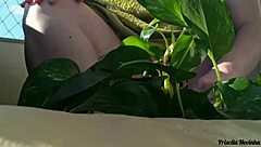 flashing big natural tits outdoors while watering plants naked for public exhibition