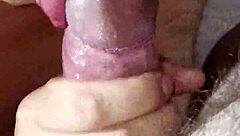 Korean wife boldly sucks cock in close-up action
