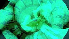 Vintage art with retro antique style