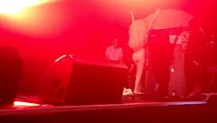 lady gaga undressing during show