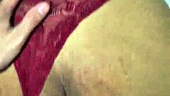 The moray eels have such an intense captivating look 😍