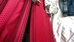 i got stuck in a suitcase like an idiot