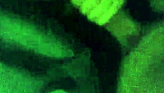 Ex Heather Moore-Good, you suck my dick so well till I cum in your mouth!