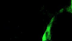 SUCKING HUGE DICK IN THE DARK WITH ROUGH DEEPTHROAT!