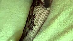 dialogic-provocative oh god, you woke me up by cumming all over my sexy ass in stockings!