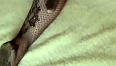 dialogic-provocative oh god, you woke me up by cumming all over my sexy ass in stockings!