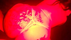 i'm feeling relaxed and enjoying a calm intimate moment with care