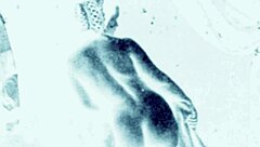 Vintage Art From Antique Retro Era