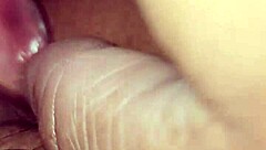 Brunette Wife Reveals Hairy Pussy Beaver