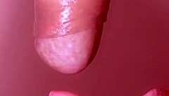 What Wild Secrets Unfold in This Japanese Blowjob Amateur Close-Up Story?