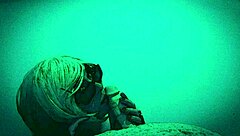 Whoa, check out shemale veronica's wild solo dildo training session