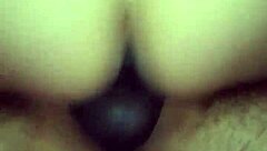 story of my chubby delightful companion in amateur setting