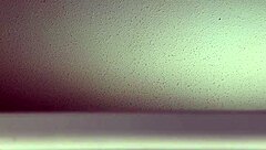 Hidden couple engages in intense fucking heard through the open window