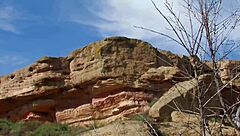 i love getting my milf ass fucked hard outdoors with deep thrusts and hot cum