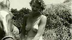 Have you ever wondered about the erotic confessions from a Victorian gentleman's secret life?