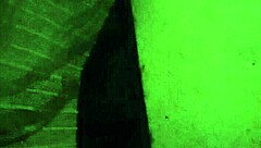 I enjoy Christy Red's oral session